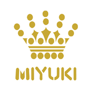 Miyuki Drop kralen